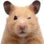 🐹
