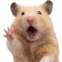 🐹