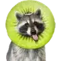 Эмодзи Raccoons