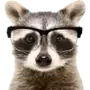 Эмодзи Raccoons