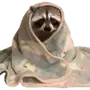 Эмодзи Raccoons