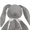 🐰