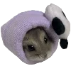 ?
