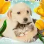 🤩