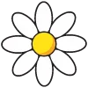 🌼