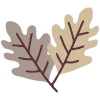 🍂