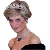 👑