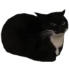Эмодзи ⊹ статусики ⊹ |¦