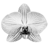 Эмодзи Flowers