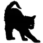 🐈