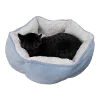 🐈‍⬛