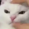 😠