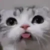 😛