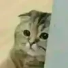 😢