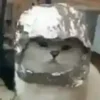 Эмодзи test cats
