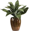 ?