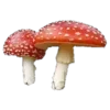 ?