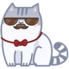 😎