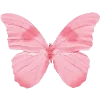 🦋