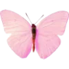 🦋