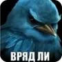 🐦