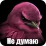 🐦