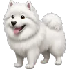 🐶