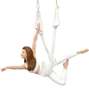 🪰