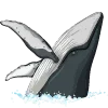 🐋