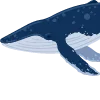 🐋