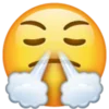 😤