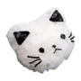 😼