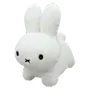🐇