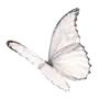Эмодзи light tones