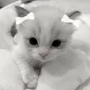 Эмодзи White Black Core