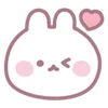 🐰