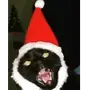 😡