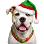 Эмодзи winter xmas ios