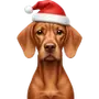 Эмодзи winter xmas ios