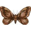 🦋