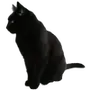 Эмодзи Gothic Veil Font