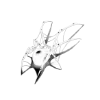 🕷