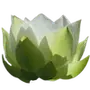 🪷