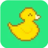 🐤